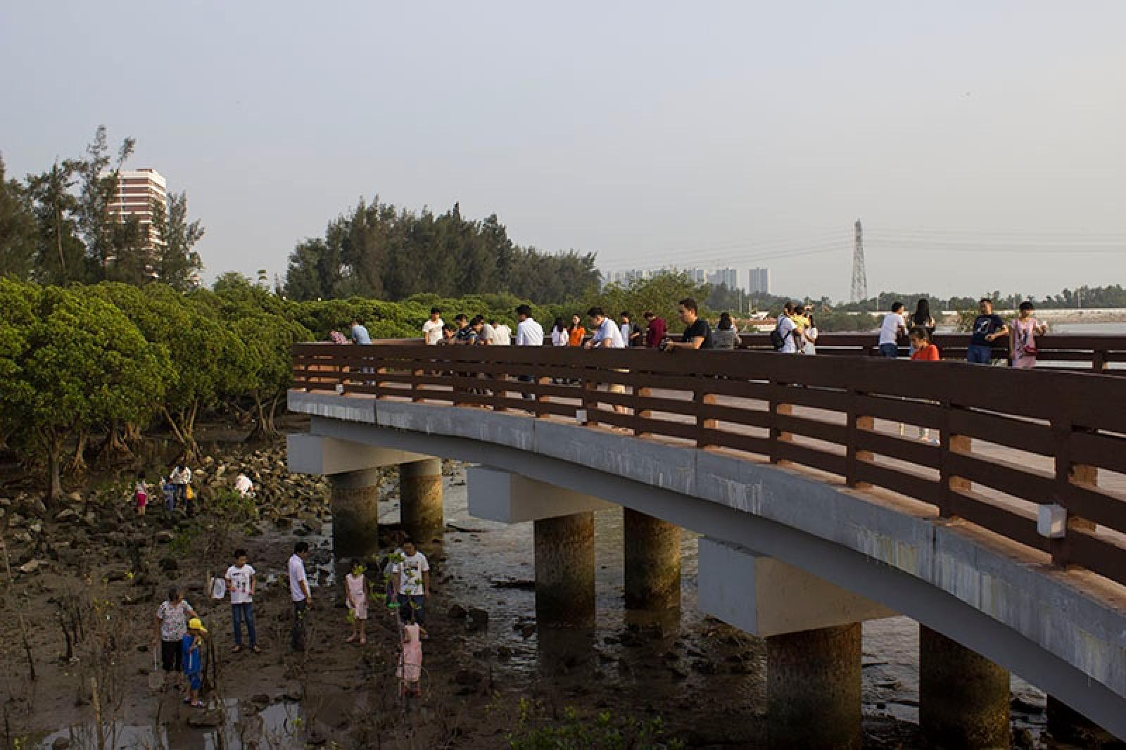 宝安西湾红树林公园