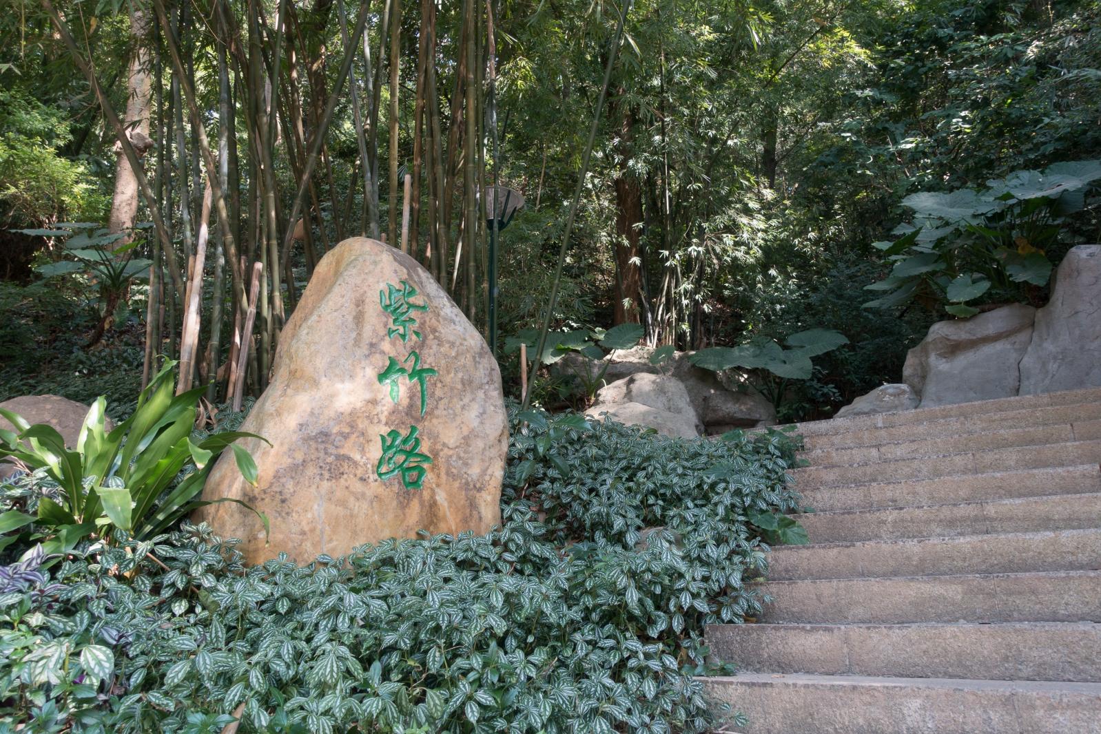 罗湖翠竹公园
