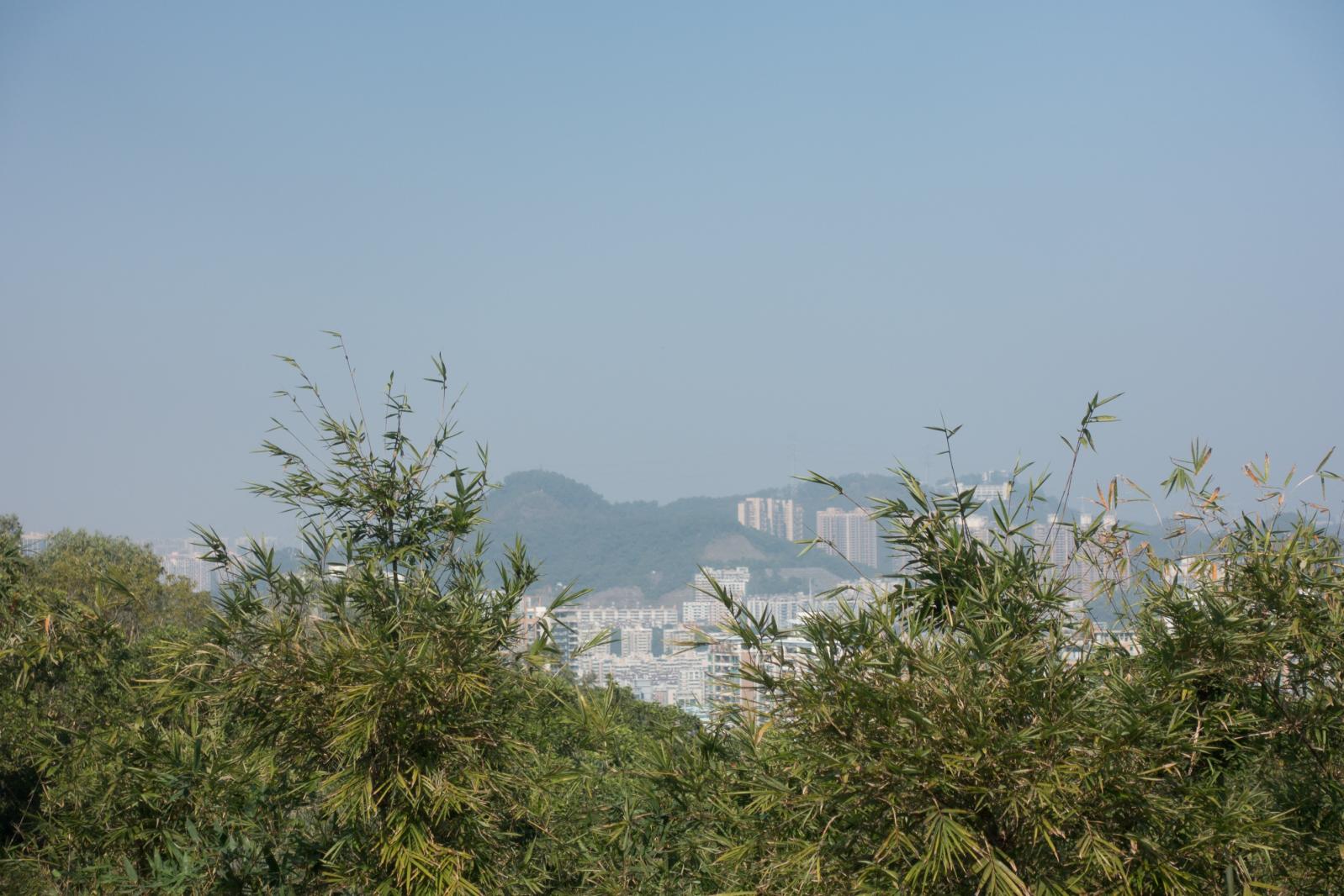 罗湖翠竹公园