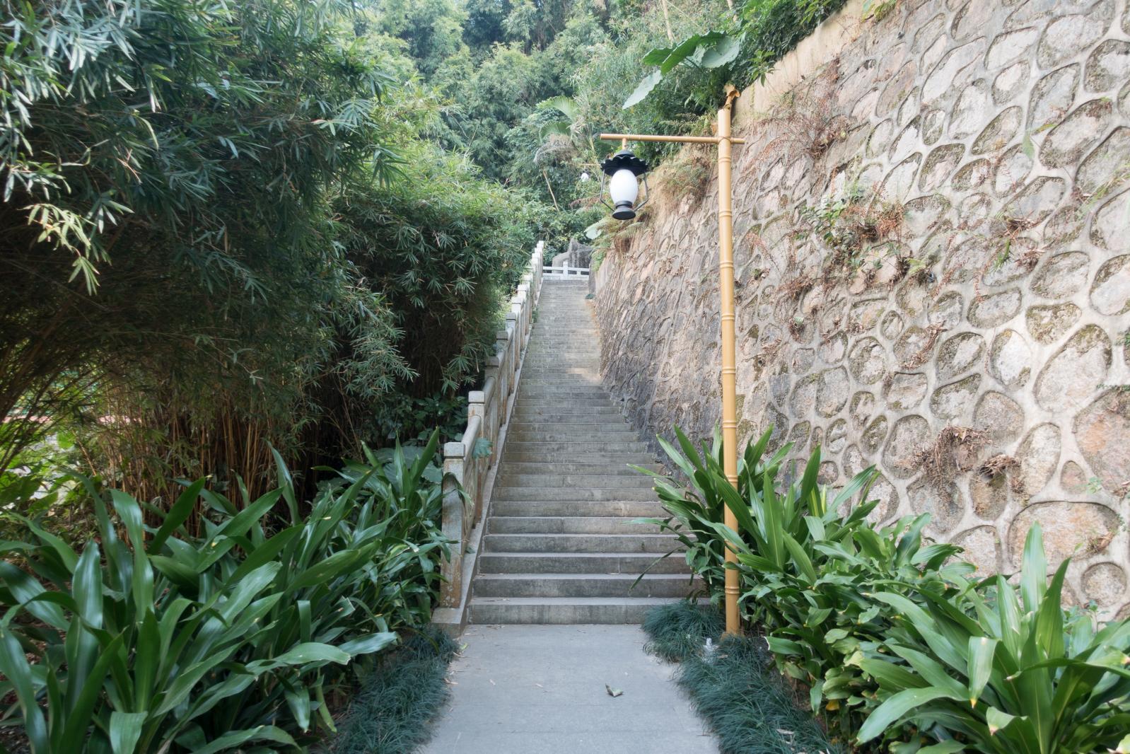 罗湖翠竹公园