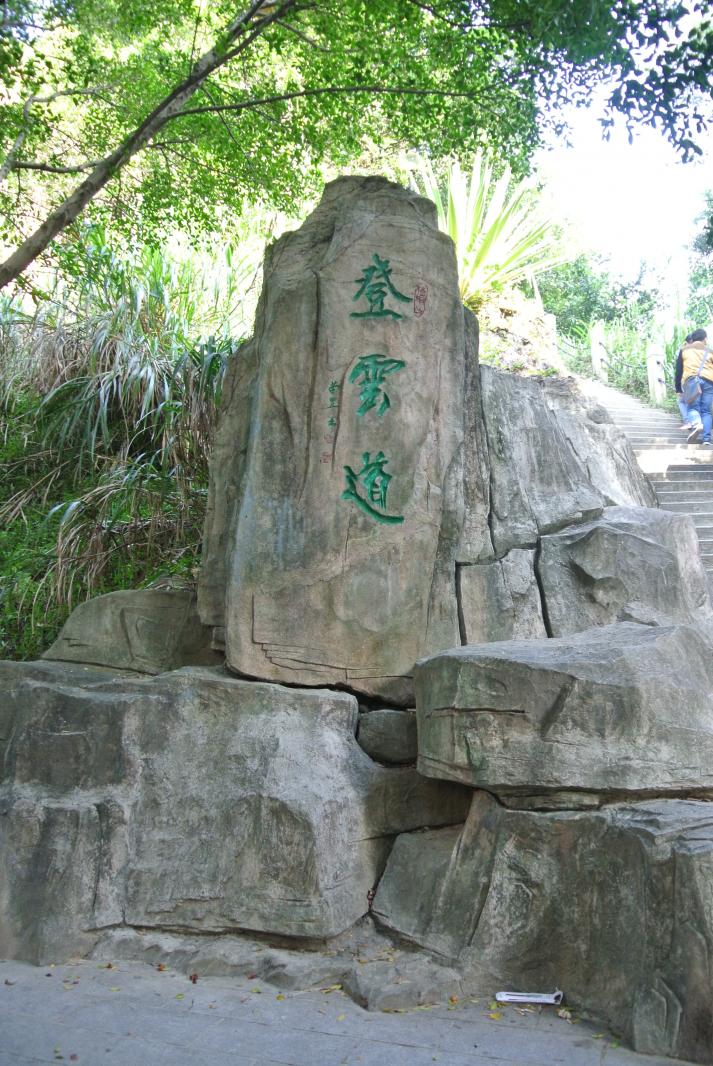 仙桐体育公园