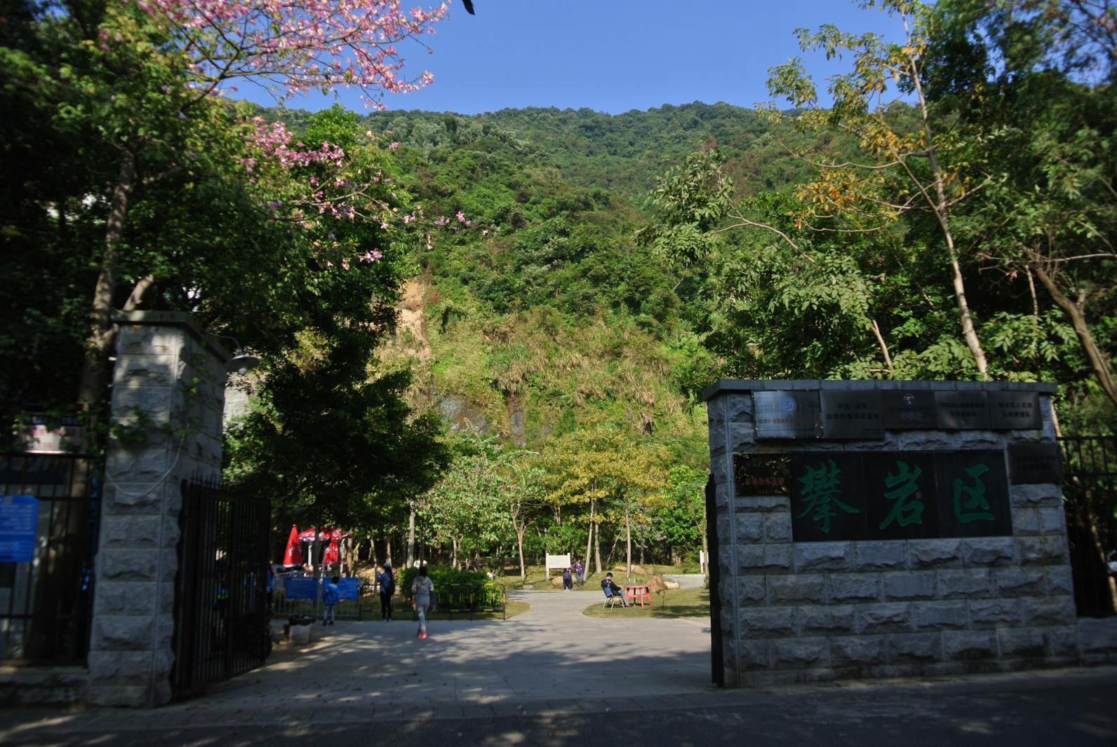 仙桐体育公园