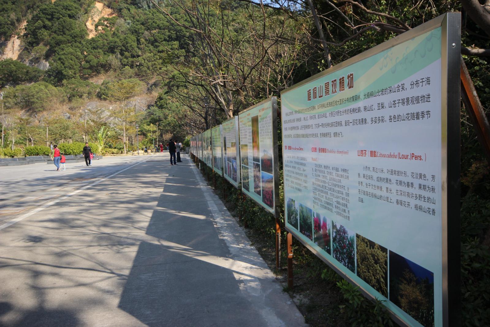 仙桐体育公园