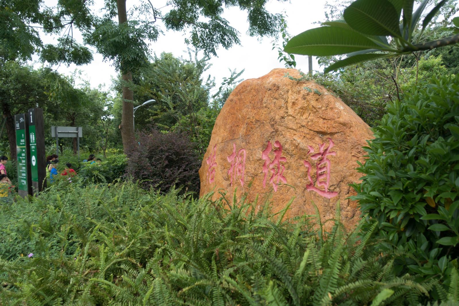 东湖绿道
