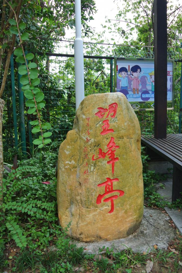 梧桐绿道-望峰亭