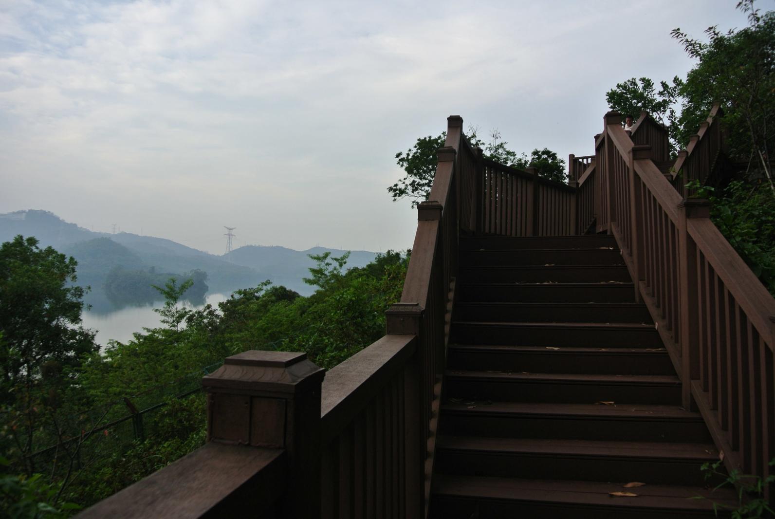 梧桐绿道