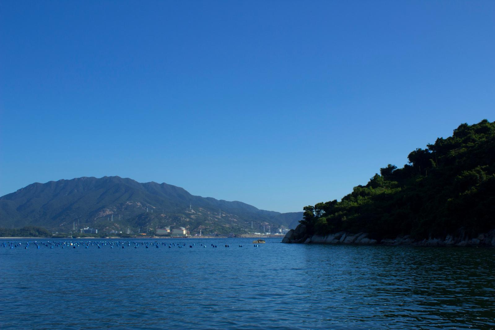 东家湾