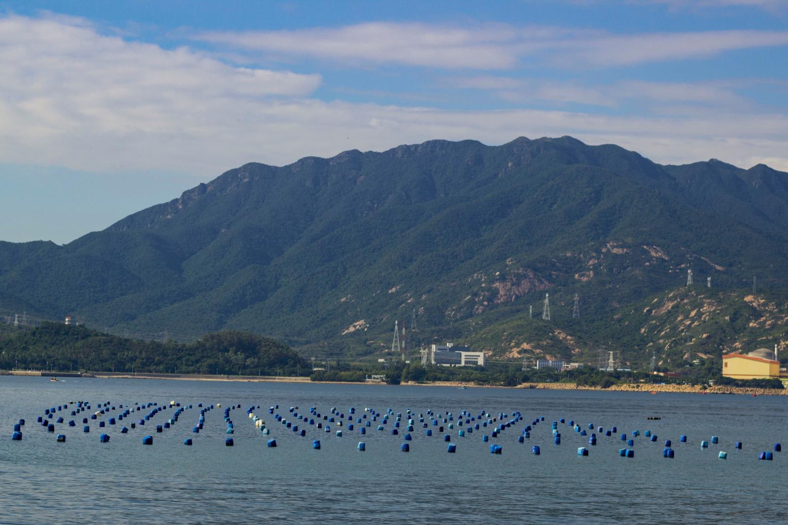 东家湾