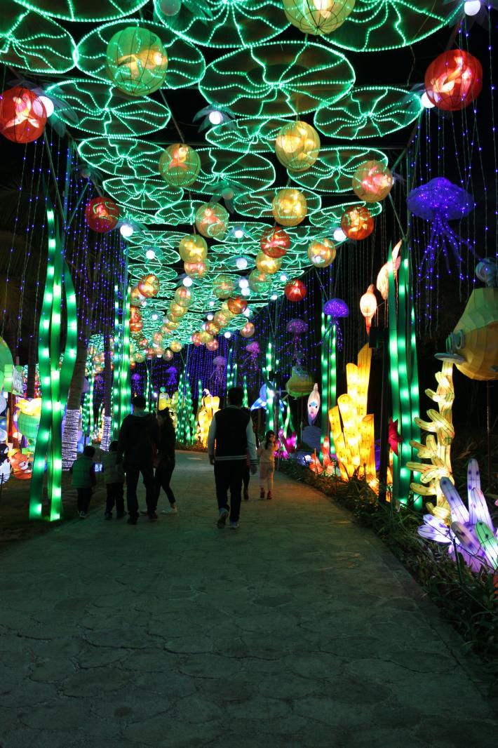 欢乐灯会