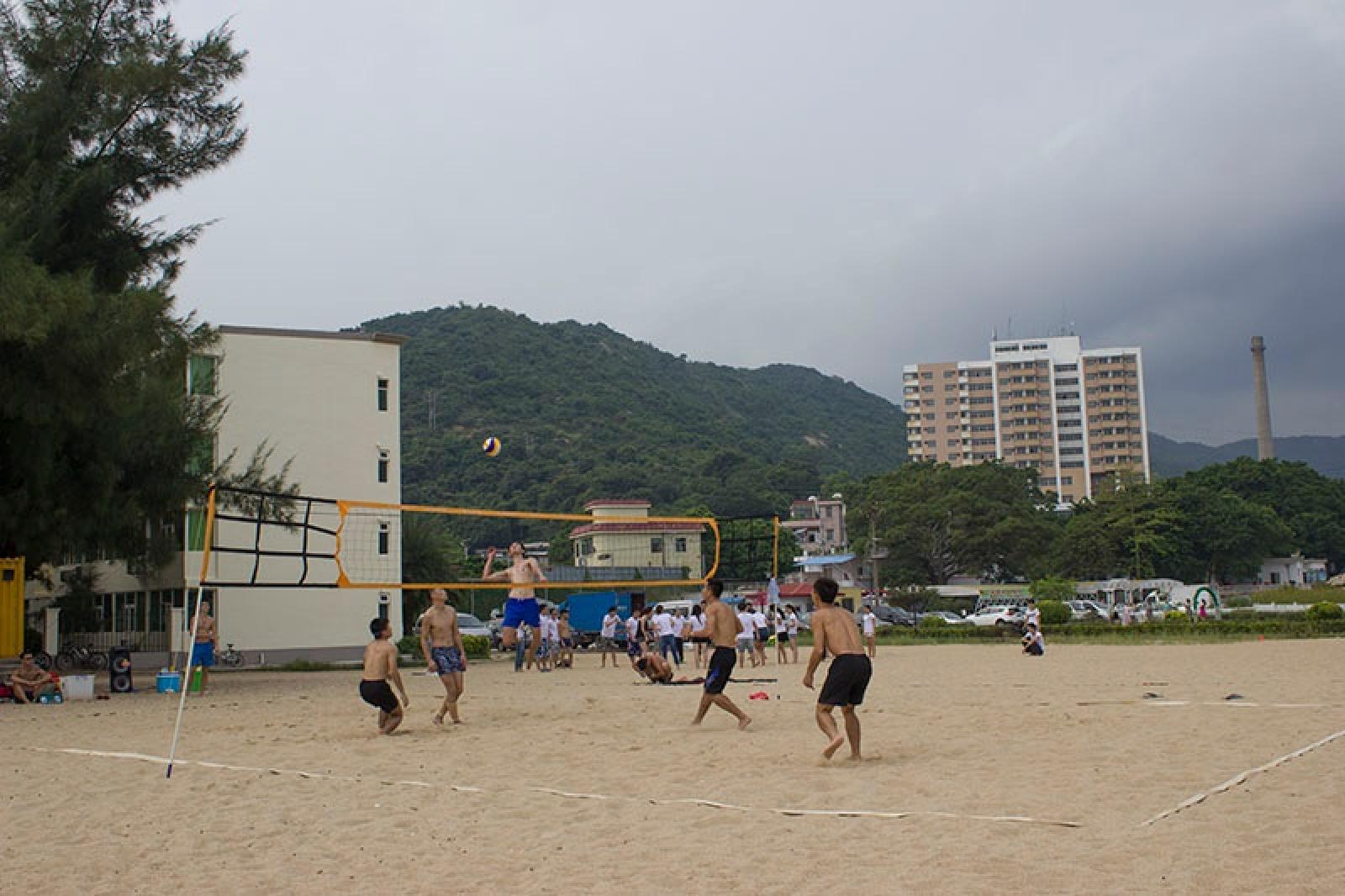 玫瑰海岸沙滩排球