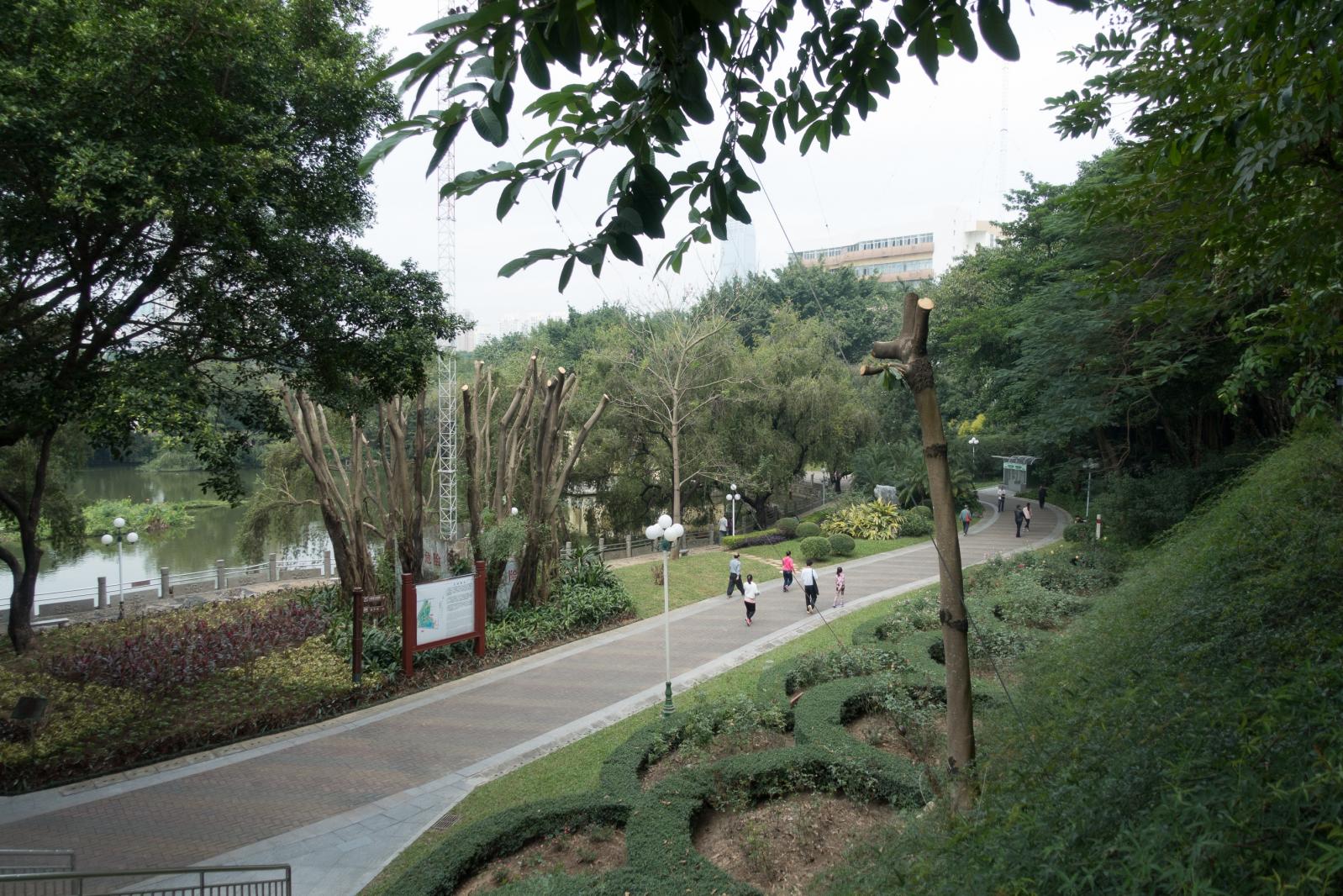 深圳罗湖人民公园