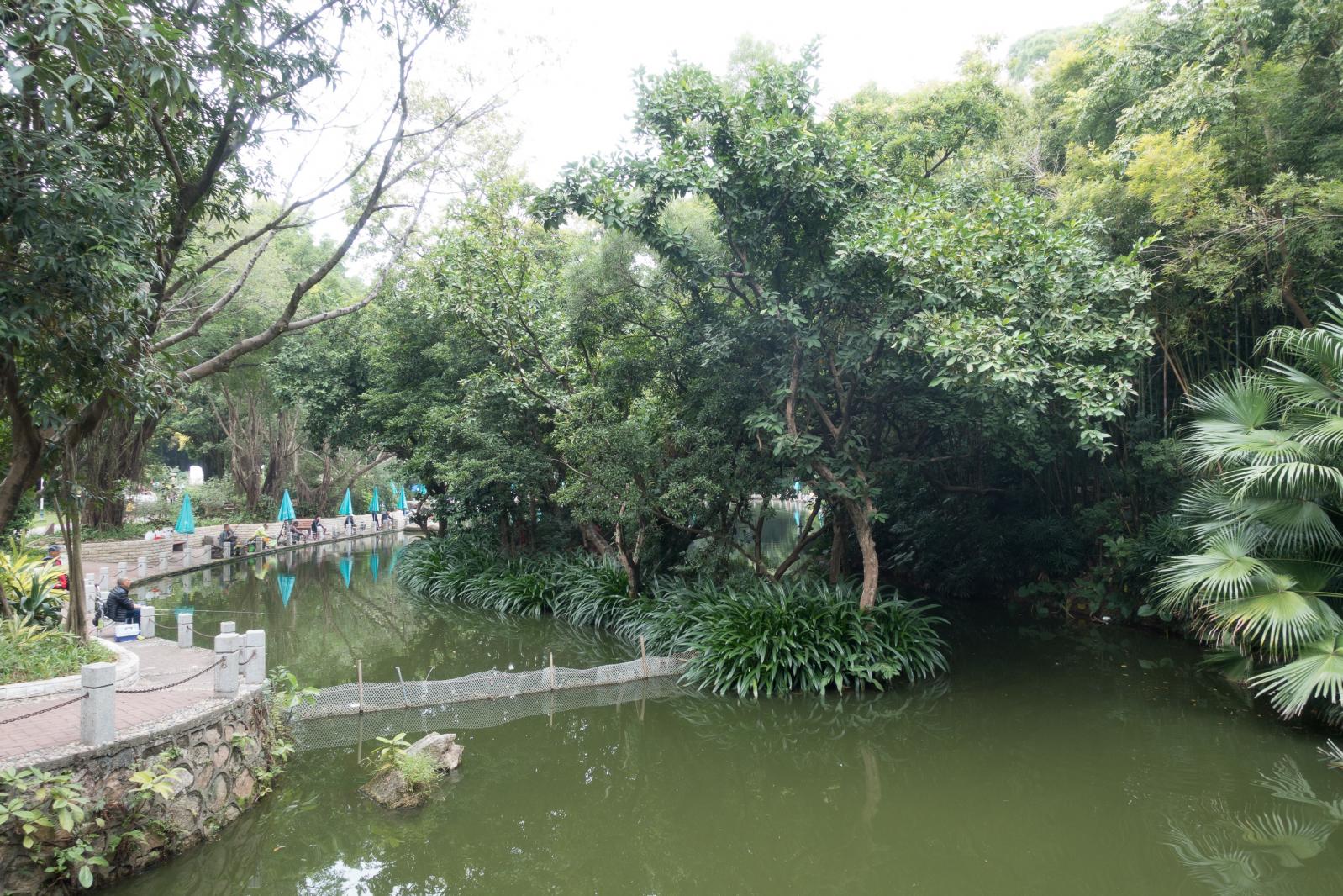 深圳罗湖人民公园钓鱼区