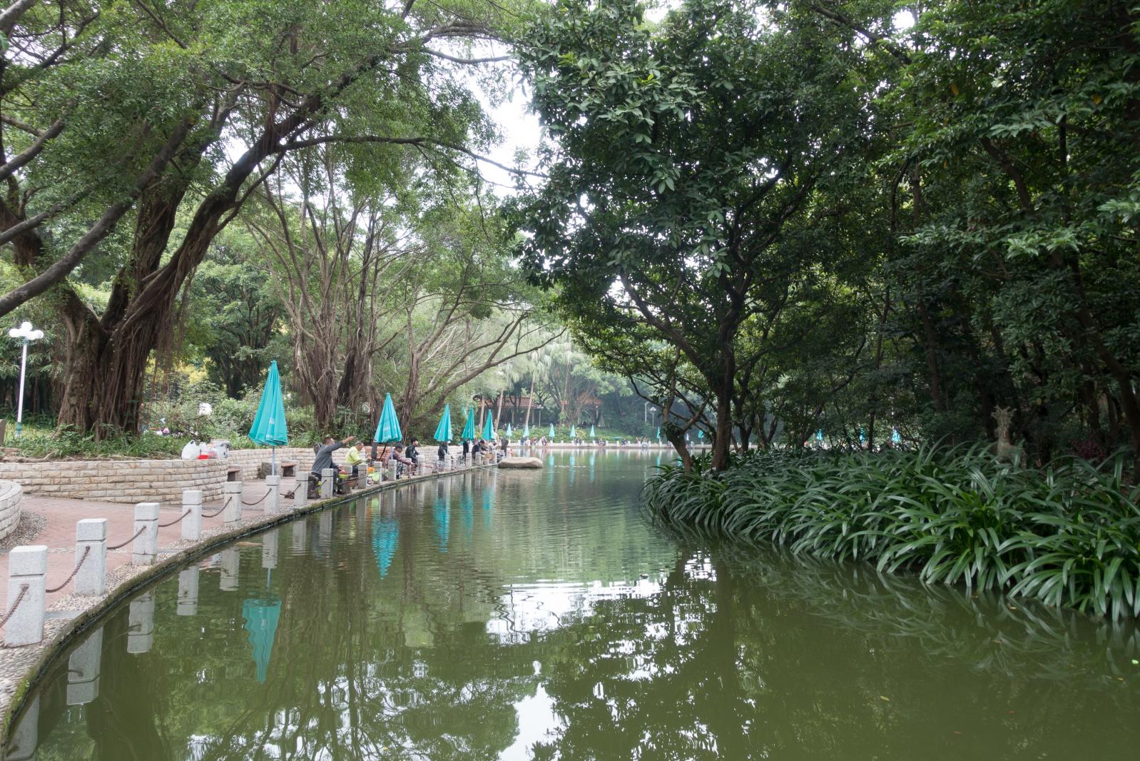 深圳罗湖人民公园钓鱼区