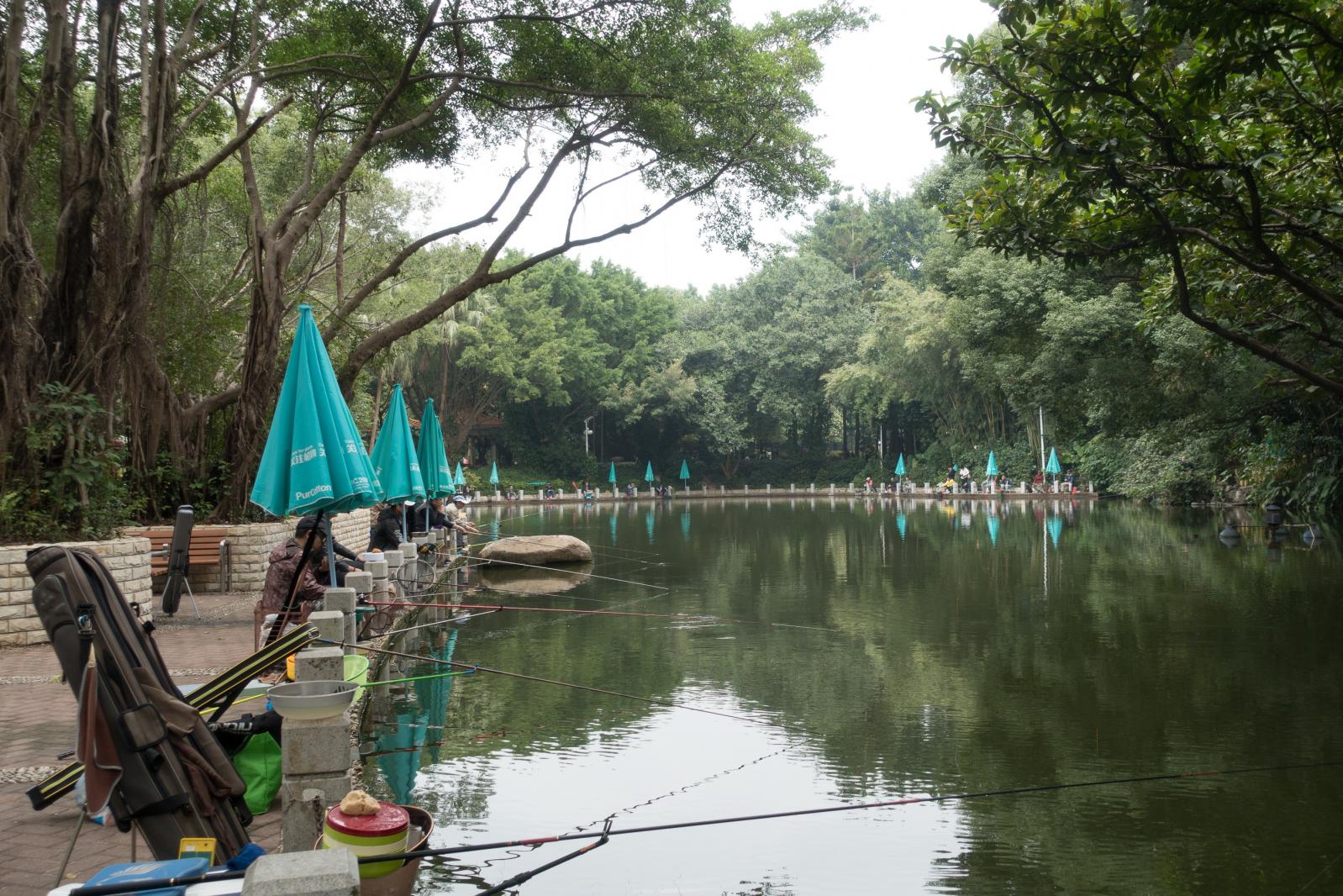 深圳罗湖人民公园钓鱼区