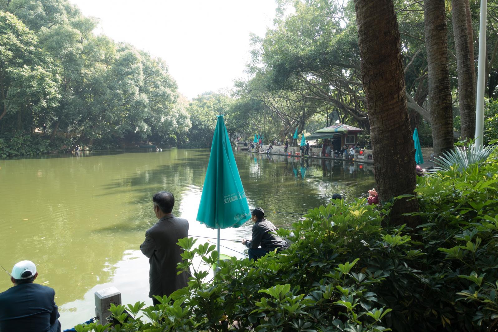 深圳罗湖人民公园钓鱼区