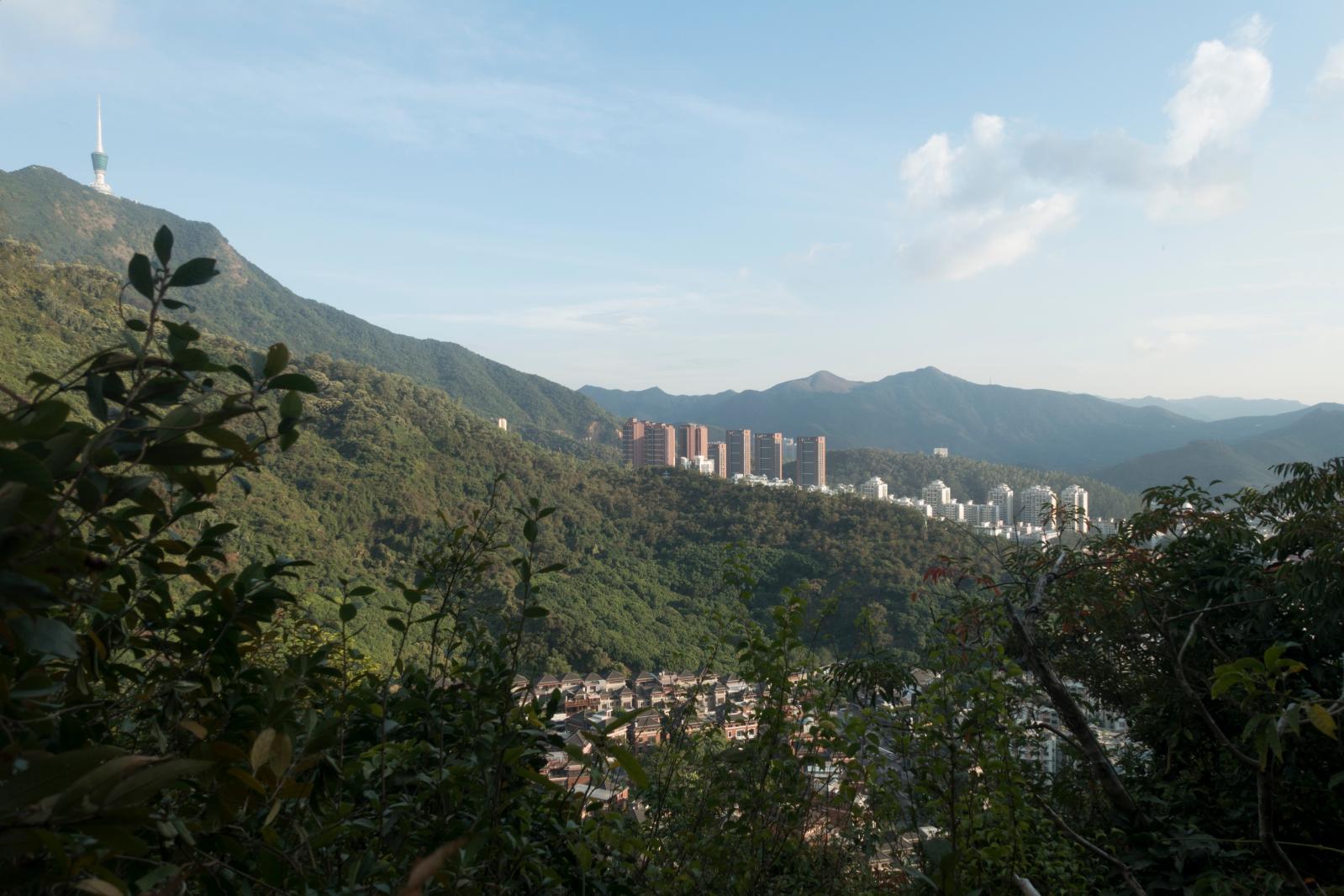 仙湖植物园