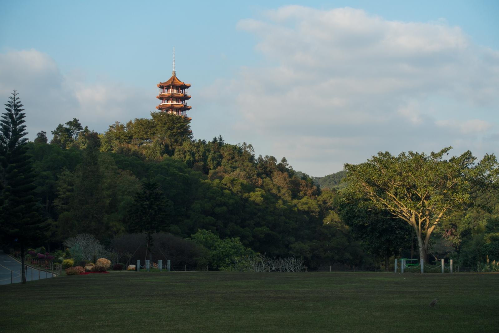 仙湖植物园