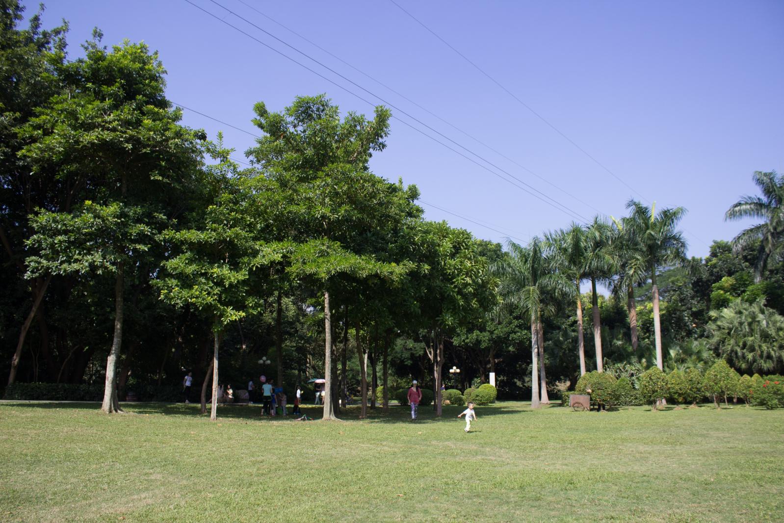 东湖公园大草地