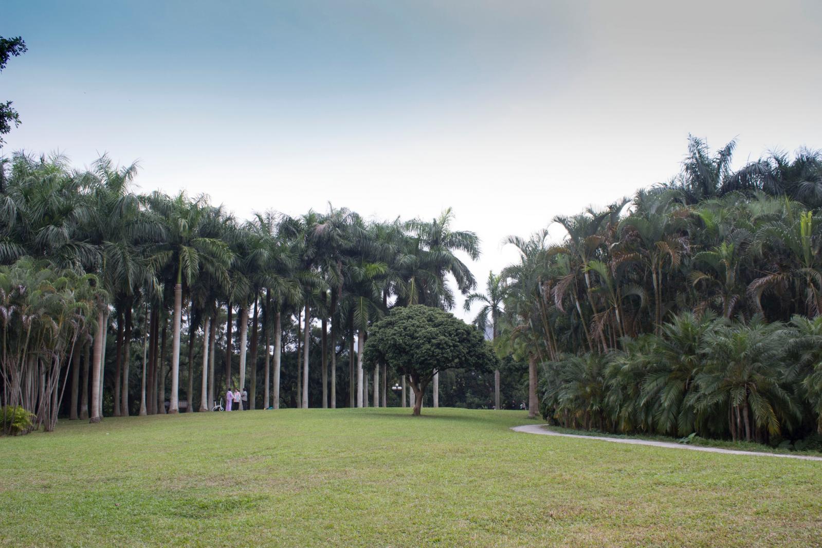 东湖公园草地