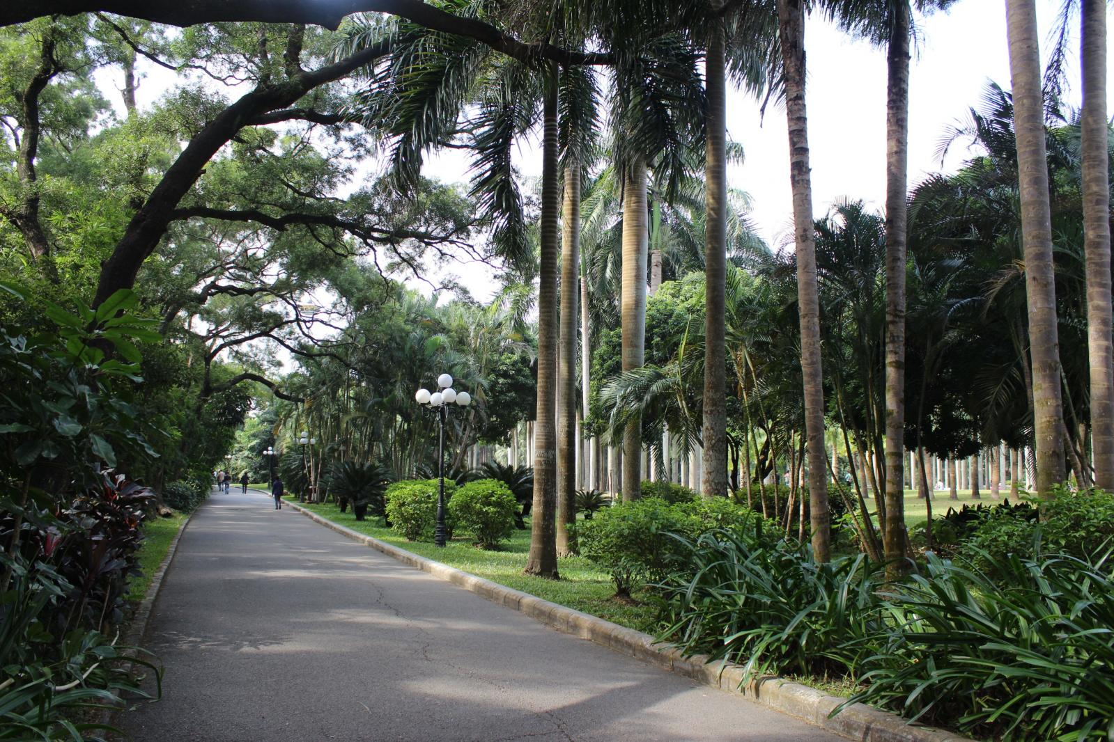 深圳罗湖东湖公园