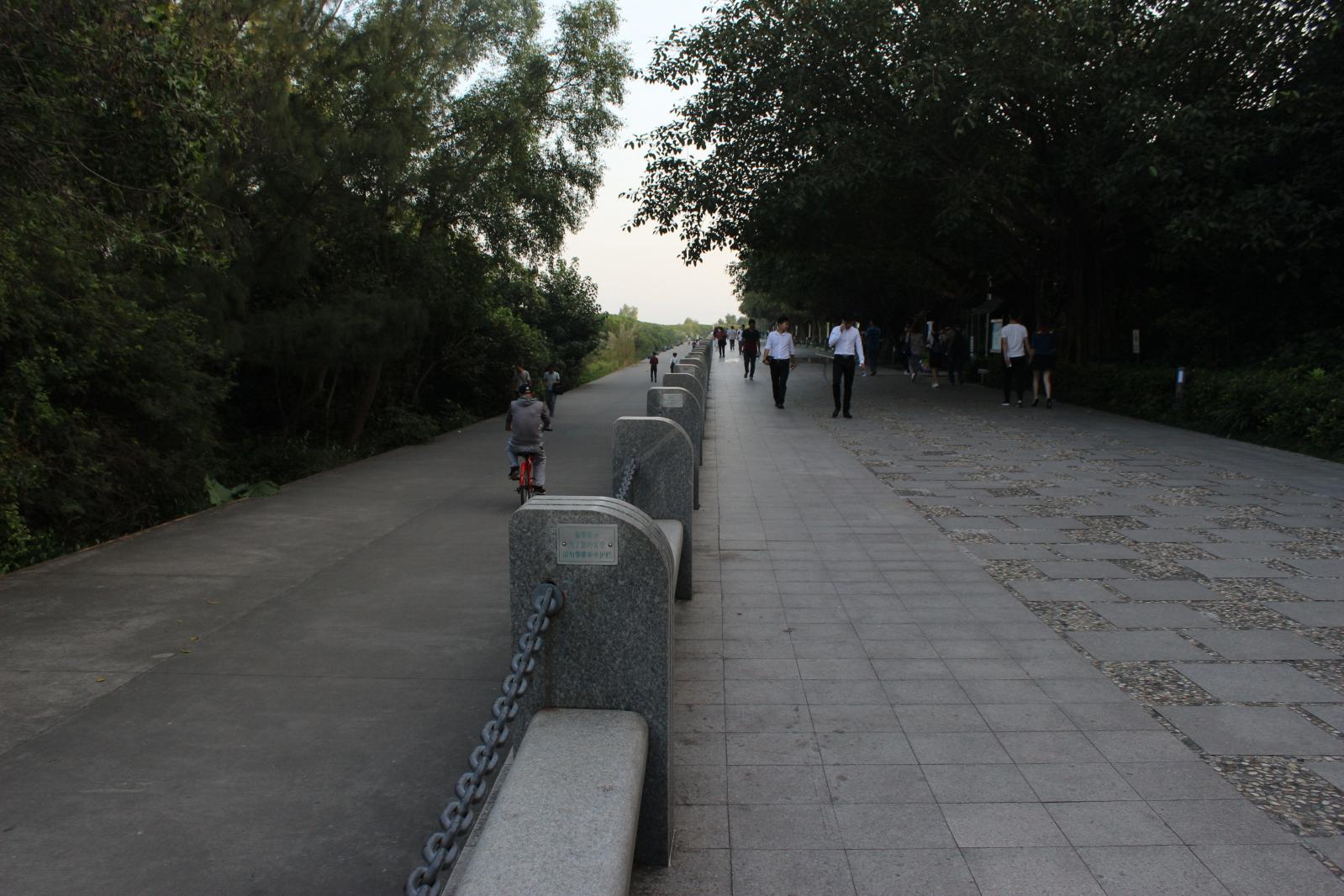 深圳湾公园（红树林公园）