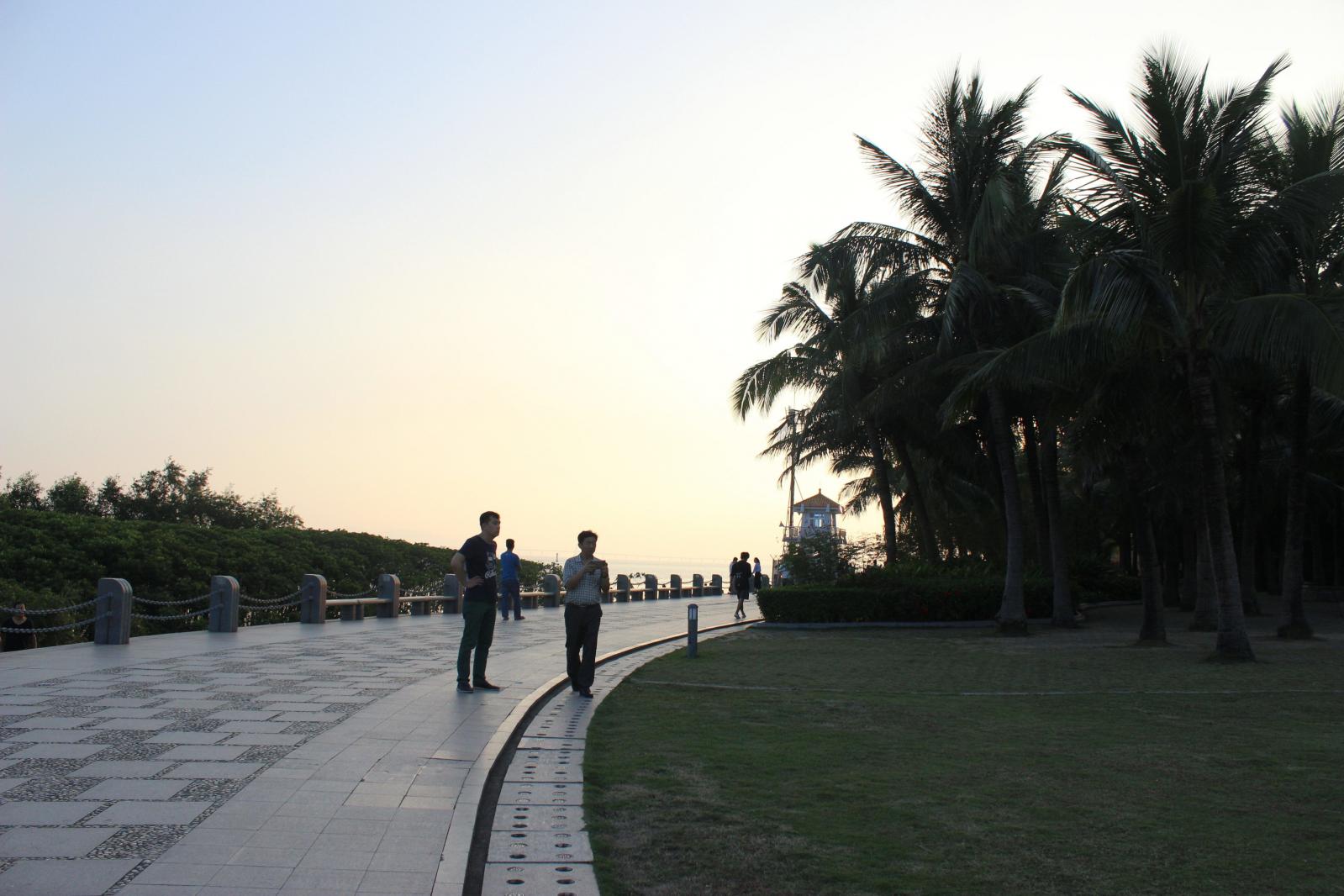 深圳湾公园（红树林公园）