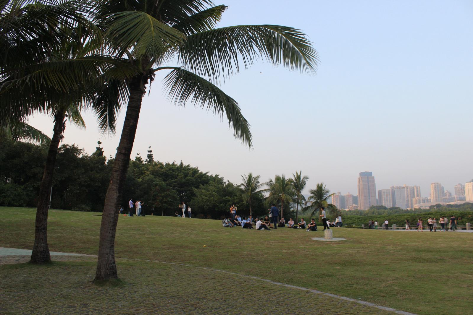 深圳湾公园大草地