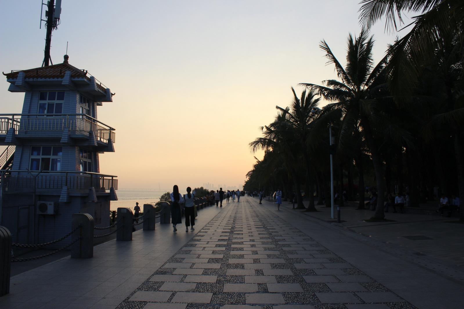 深圳湾公园（红树林公园）