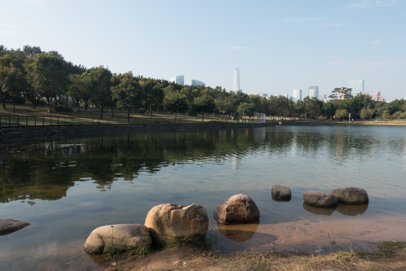 深圳中心公园E1区景观湖