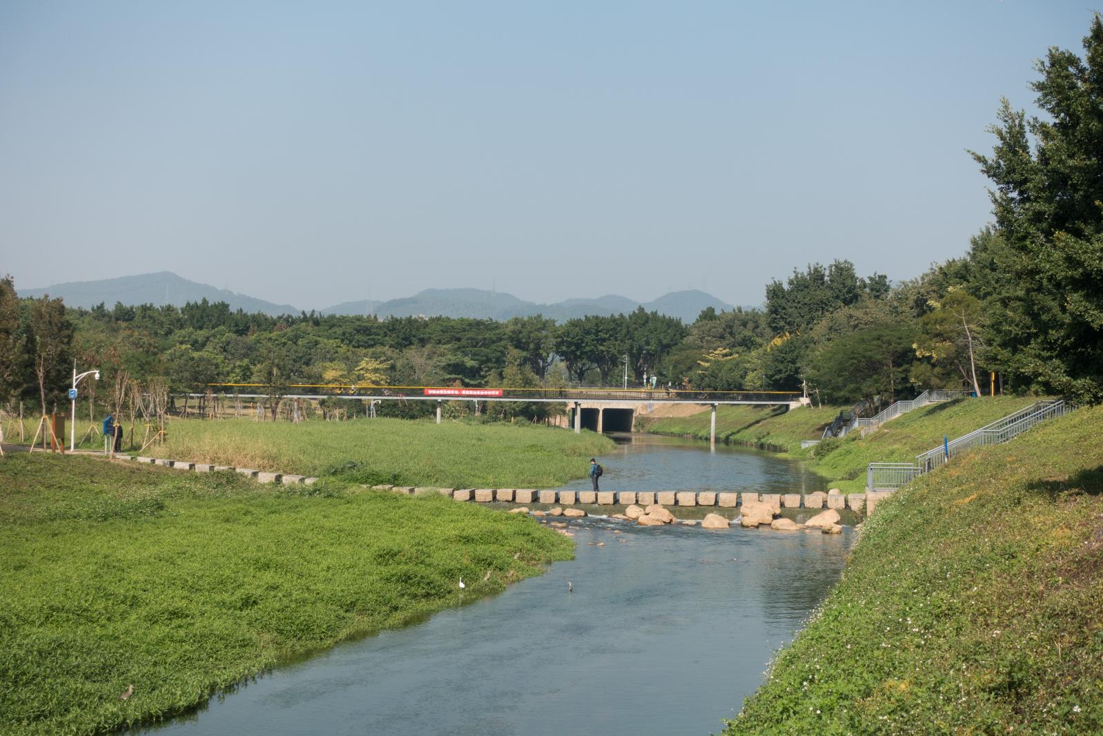 深圳中心公园D1区