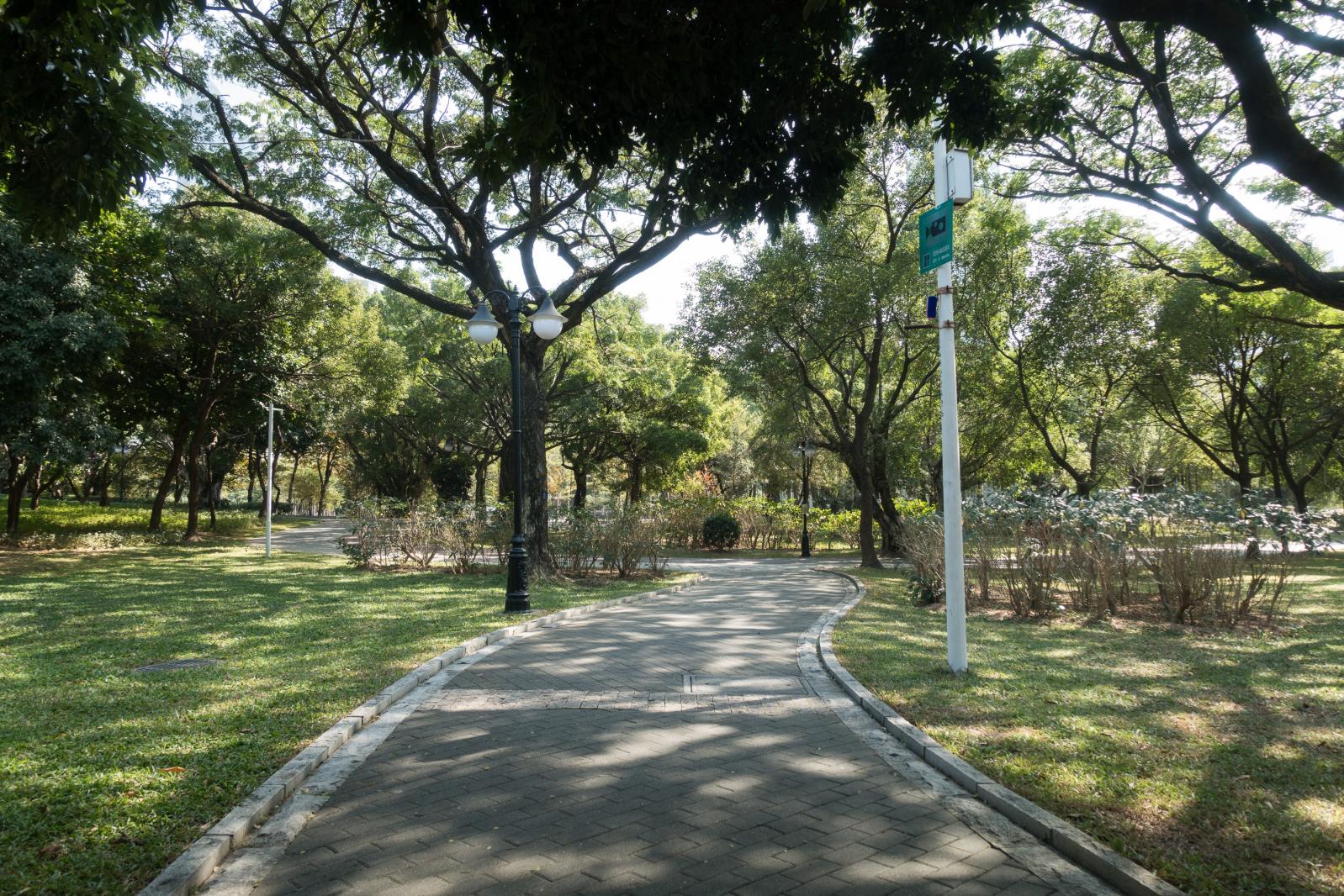 深圳中心公园D1区