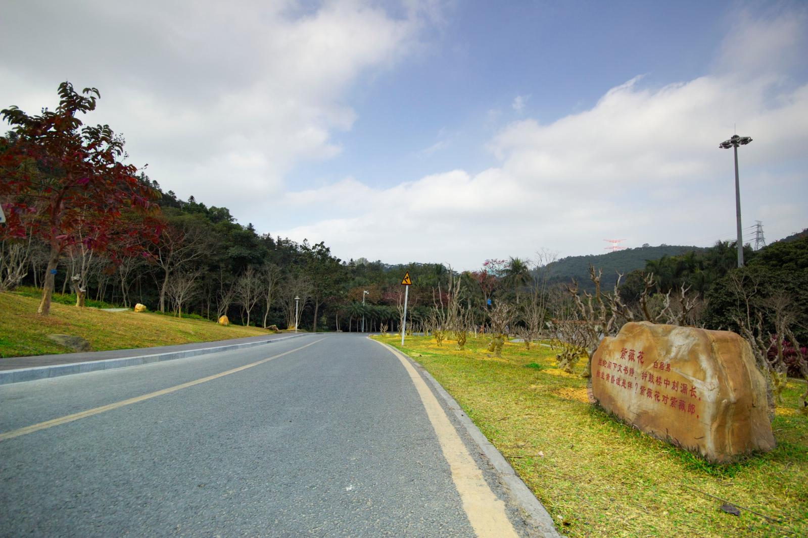 仙湖植物园紫微园