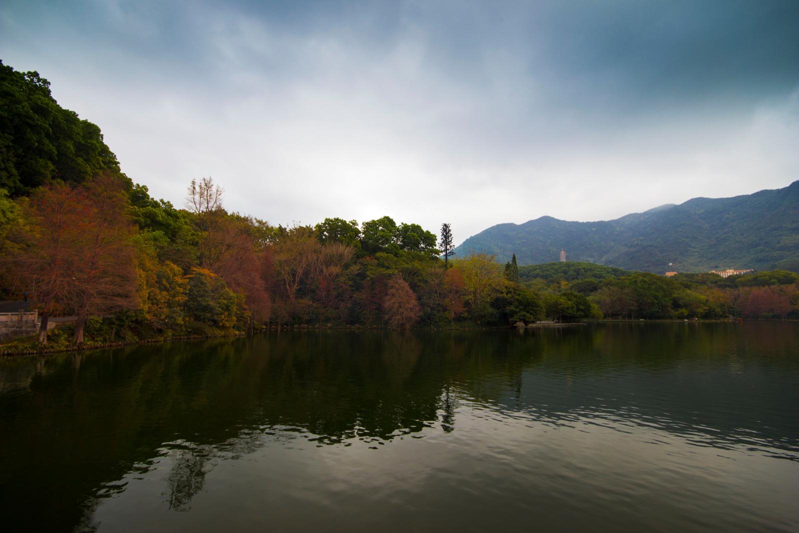 仙湖植物园仙湖