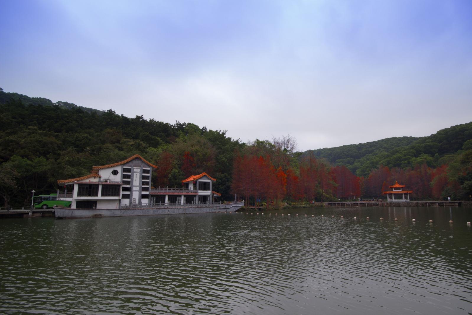 仙湖植物园