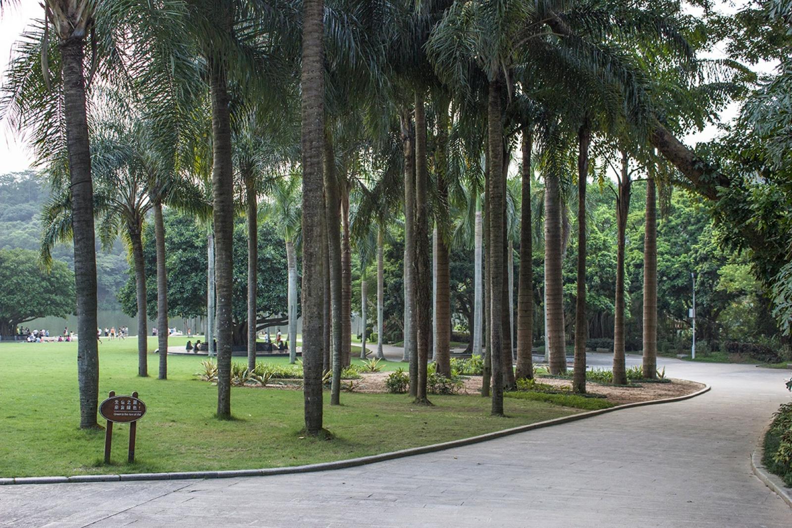 仙湖植物园