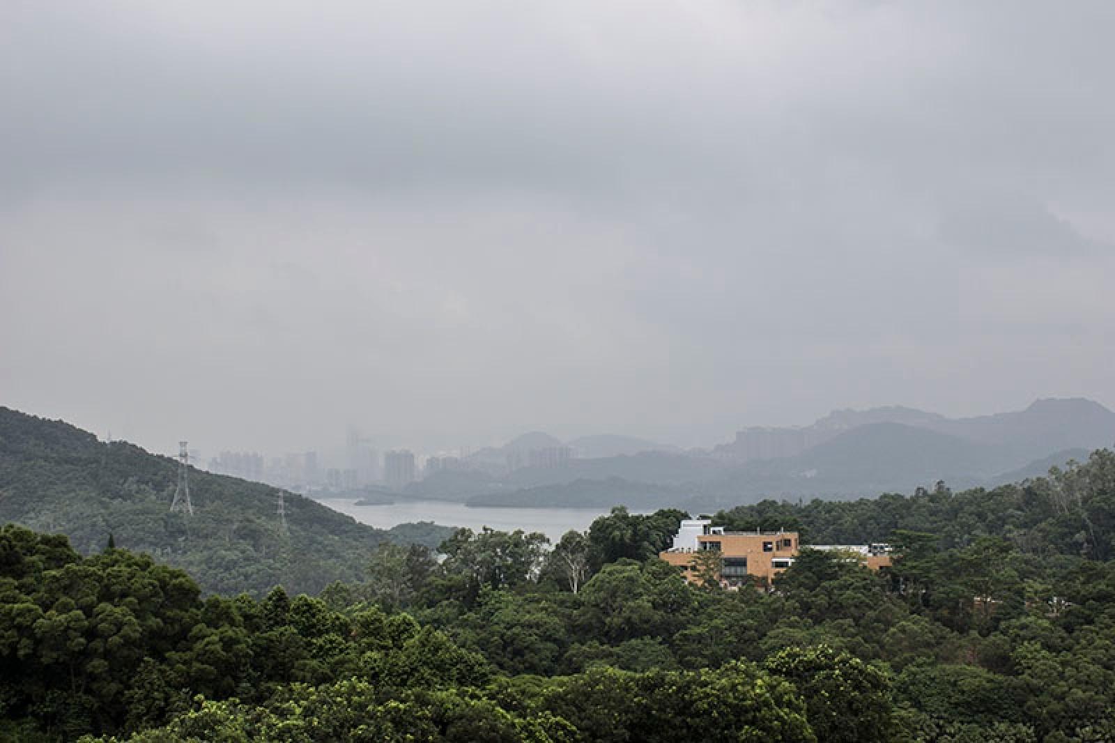 仙湖植物园仙湖