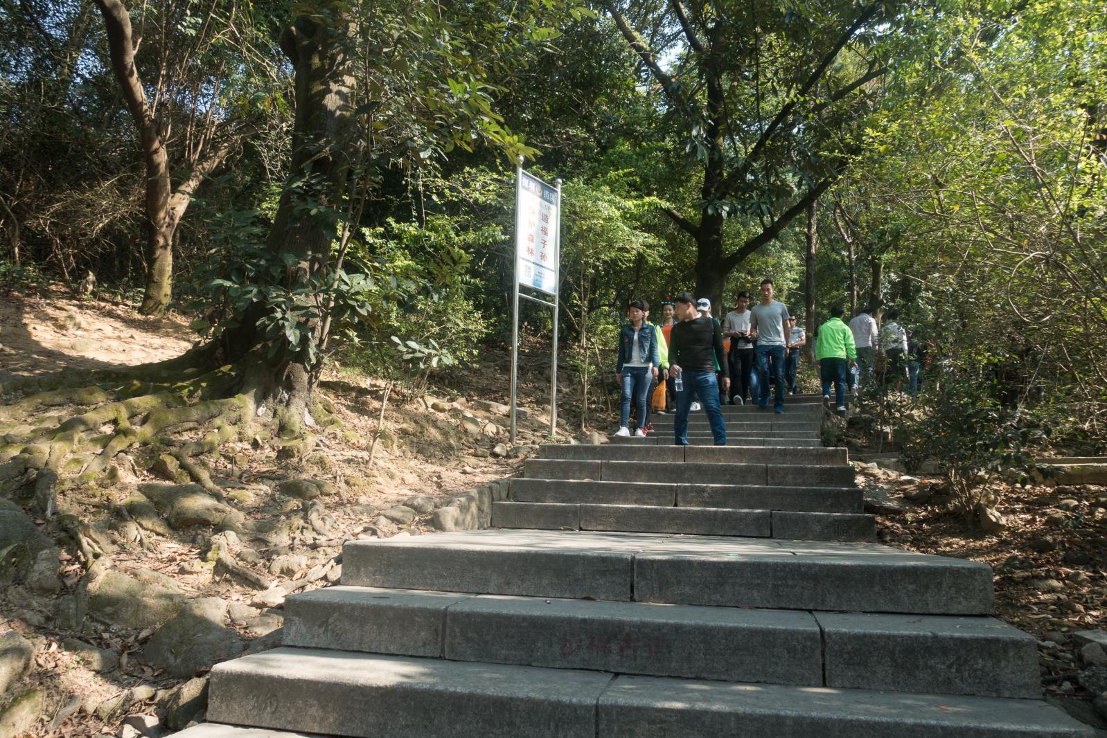 宝安福永凤凰山-登山道