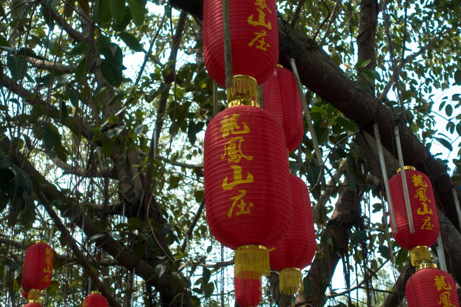 东莞凤岗龙凤山庄