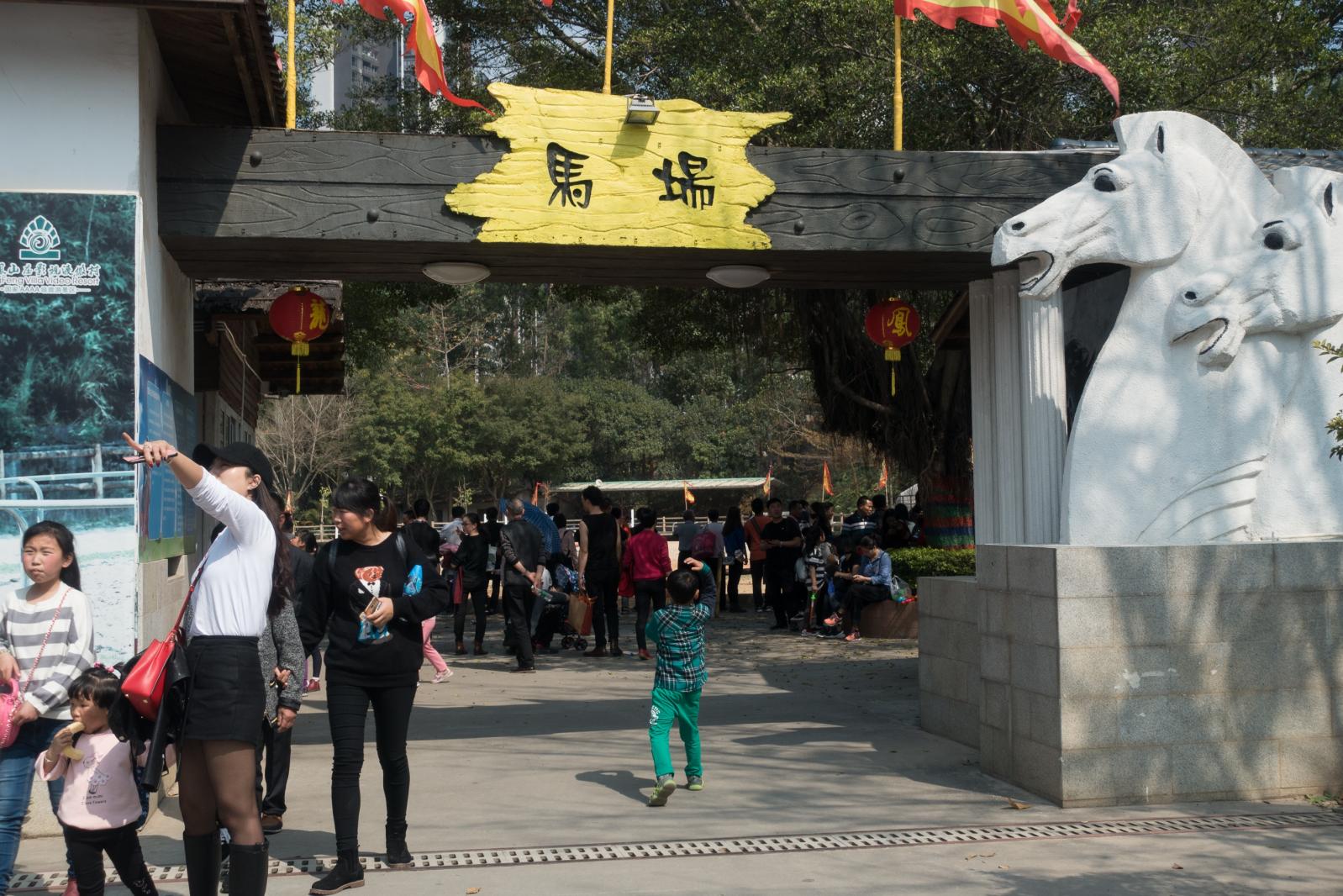 东莞凤岗龙凤山庄马场