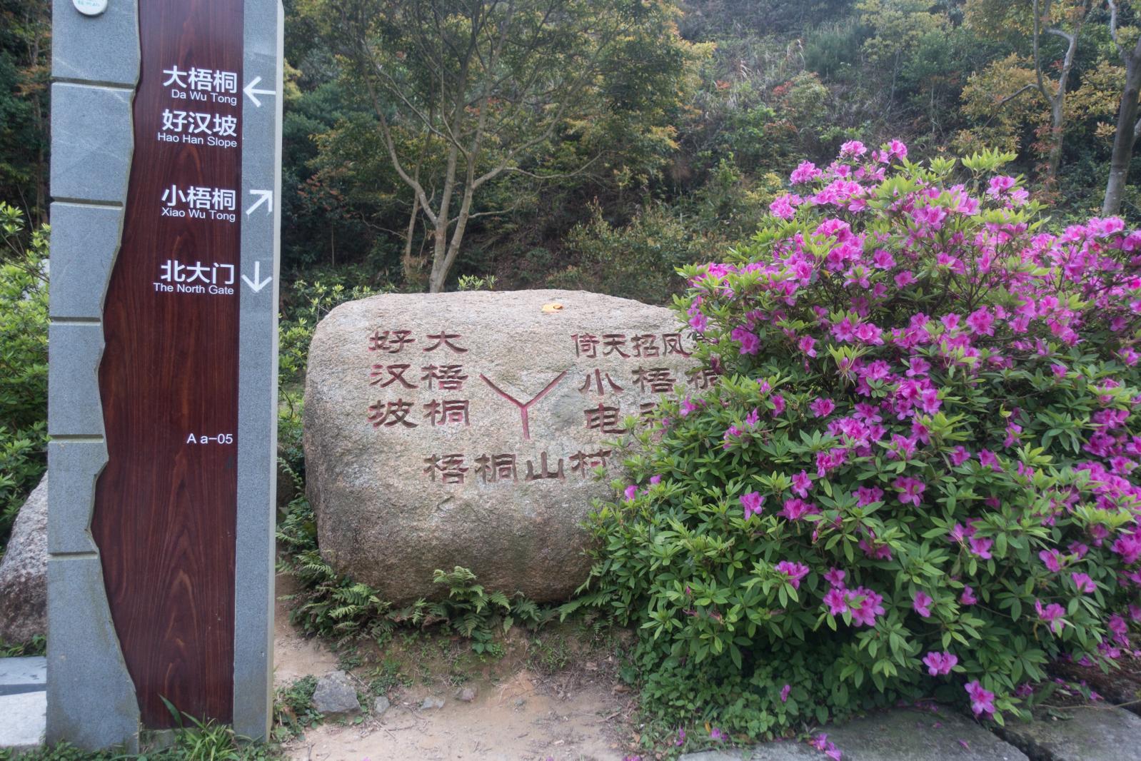 梧桐山好汉坡