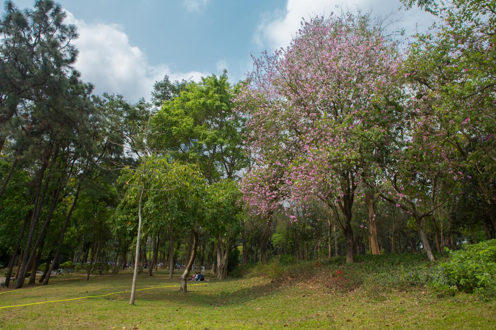 笔架山公园