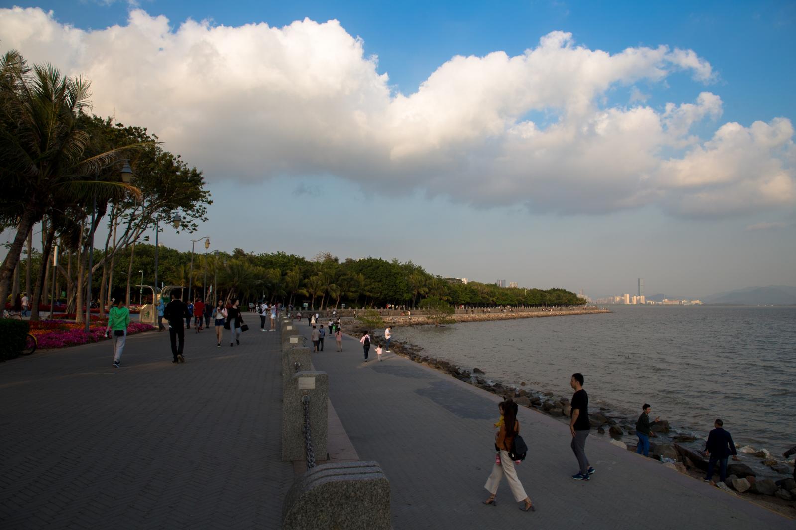 深圳湾公园