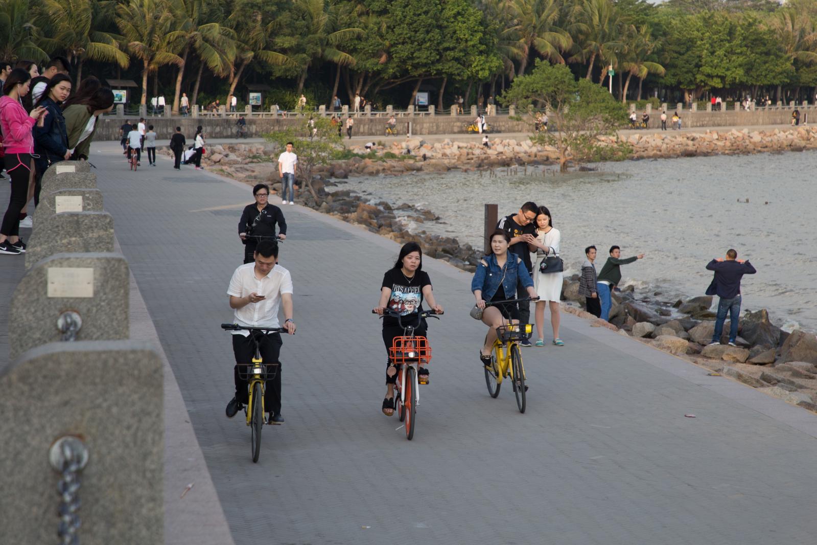 深圳湾公园