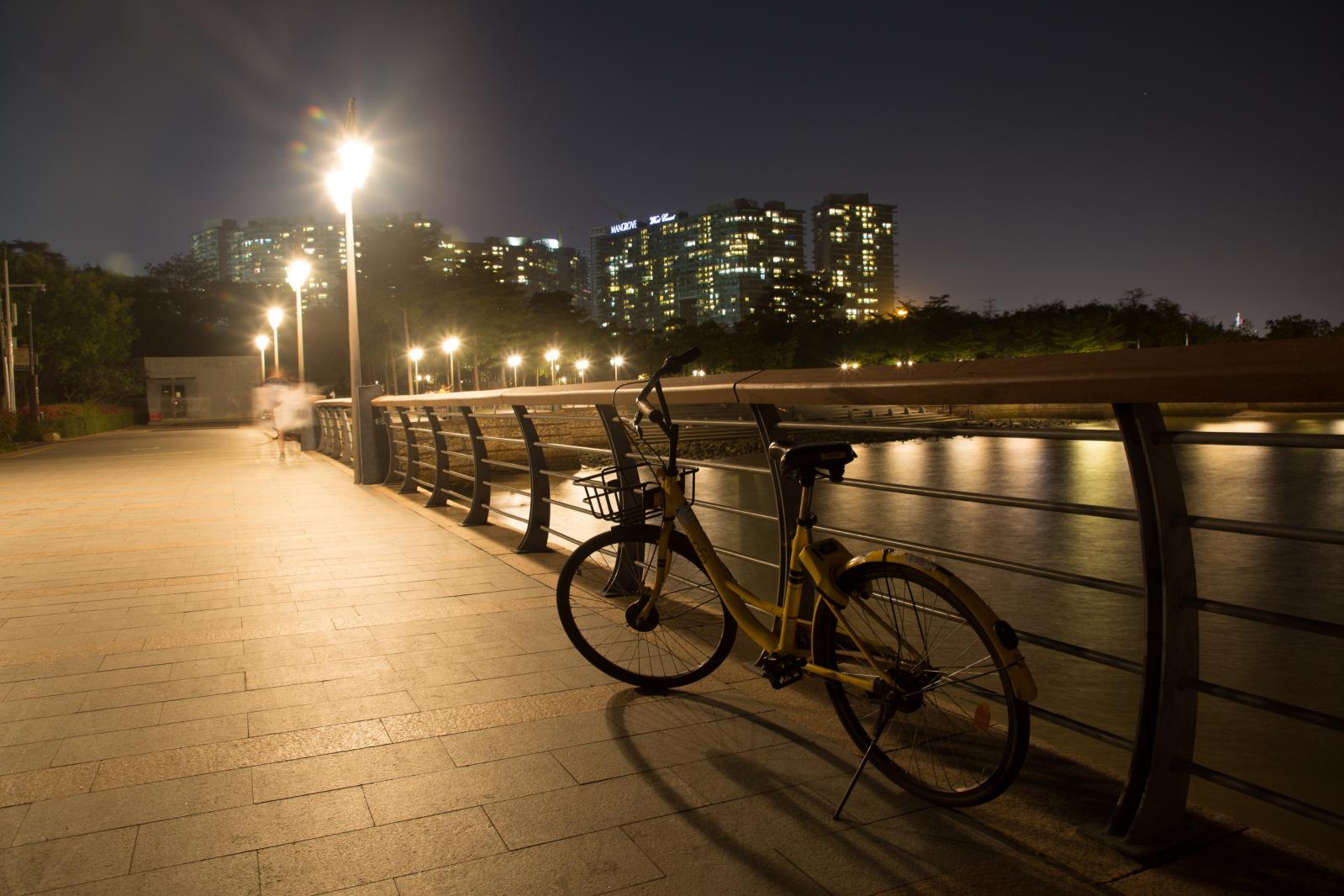 深圳湾公园夜景
