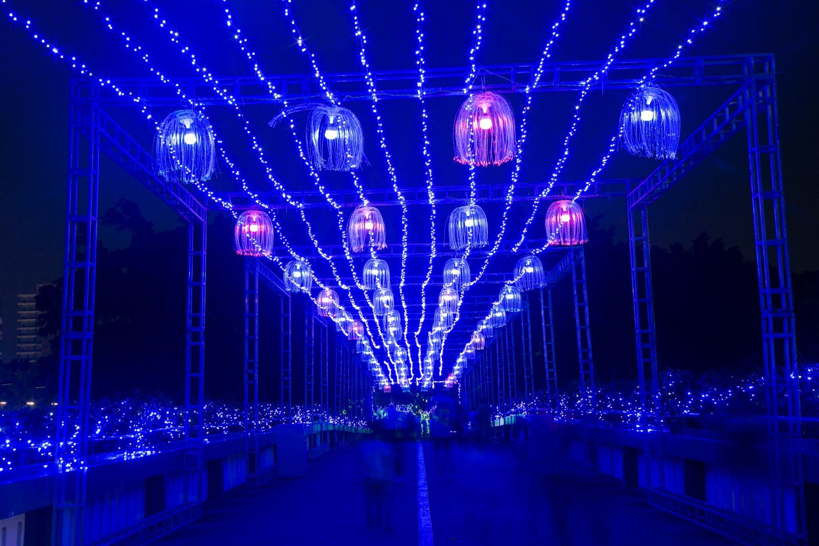 观澜湖体育公园灯光秀