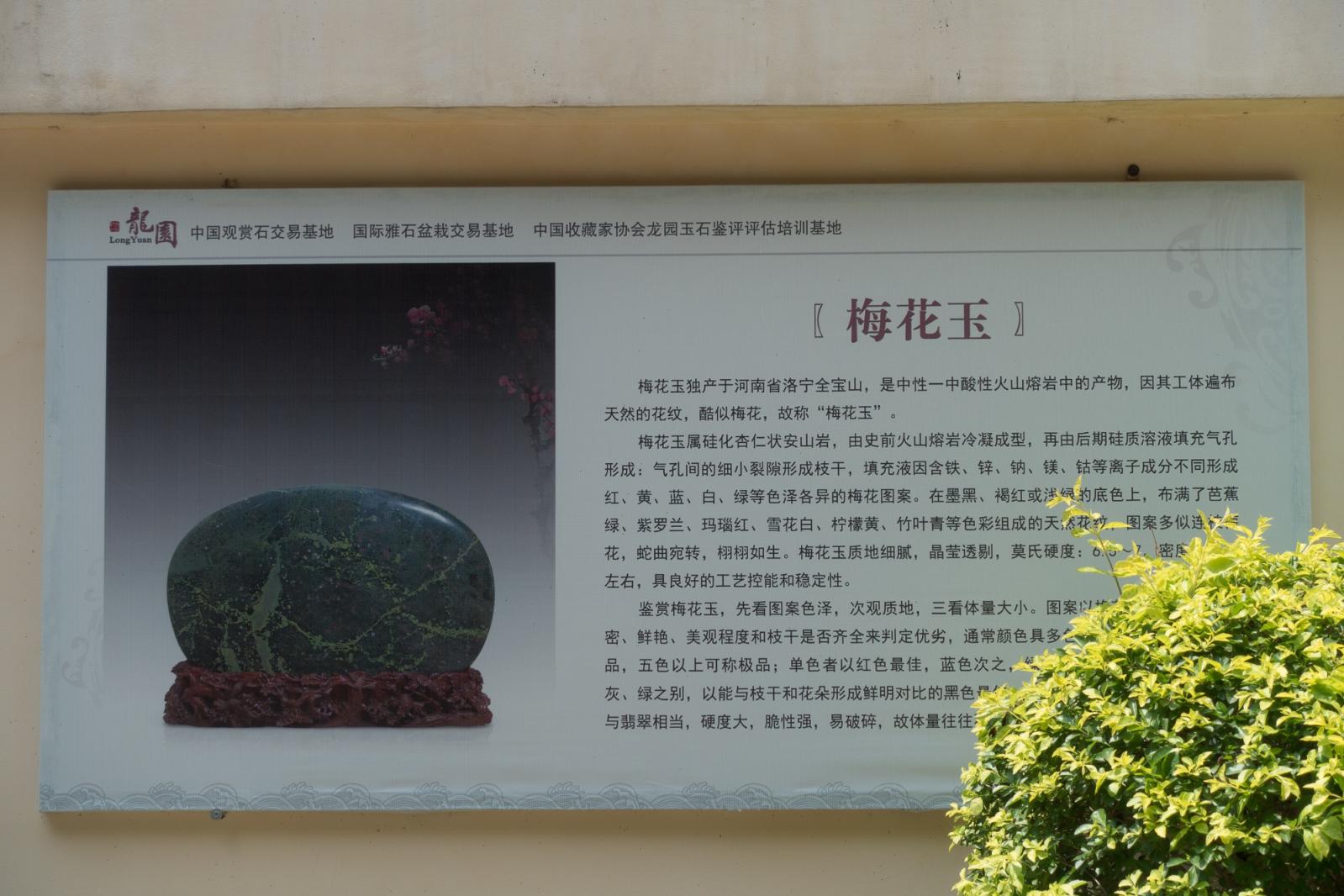 龙岗龙园