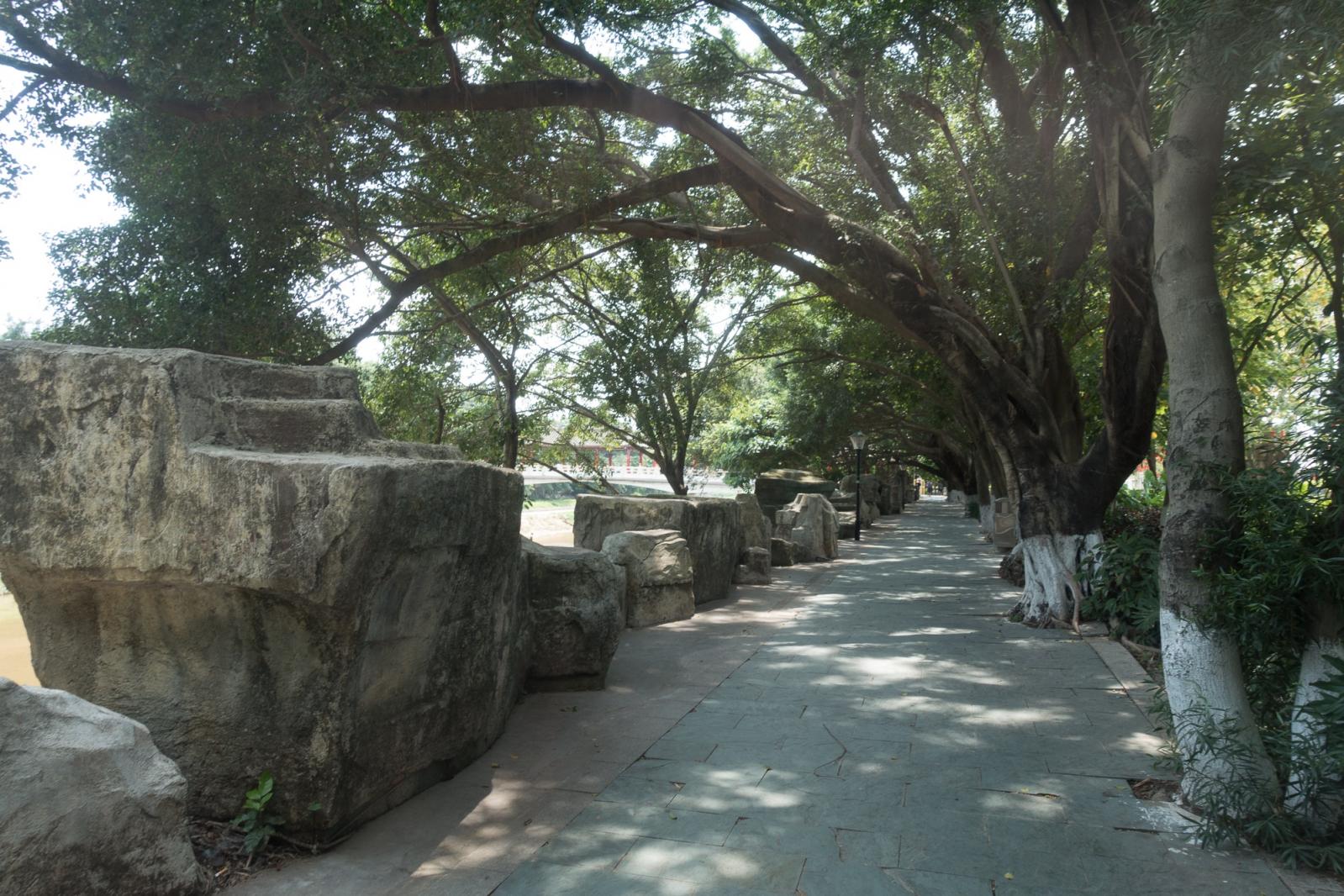 龙岗龙园