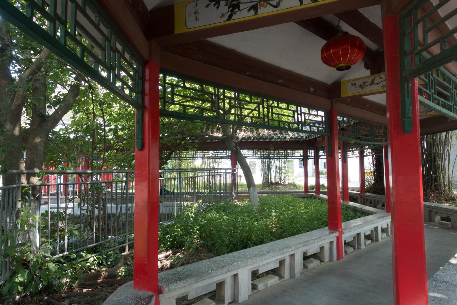 龙岗龙园
