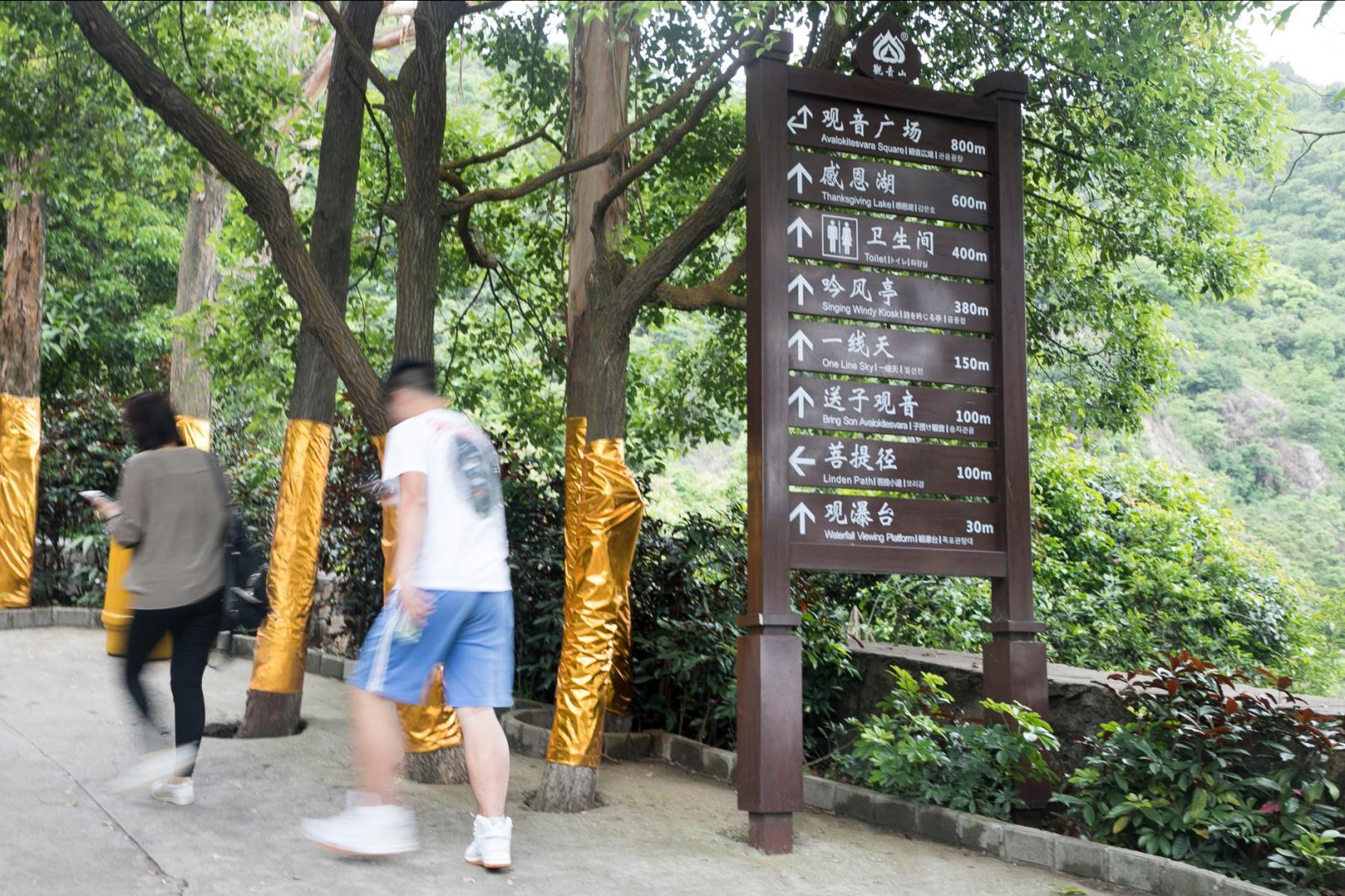 东莞观音山森林公园
