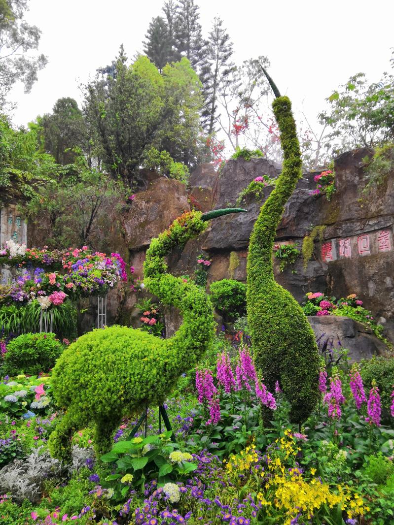 仙湖花展